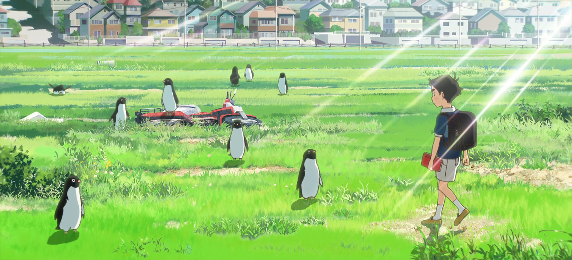 Penguin Highway (Anarchy Subs)